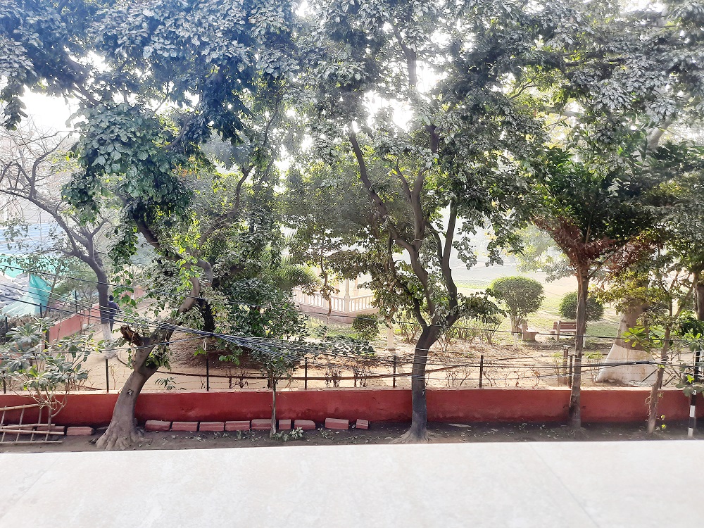 view-from-apartment.jpg